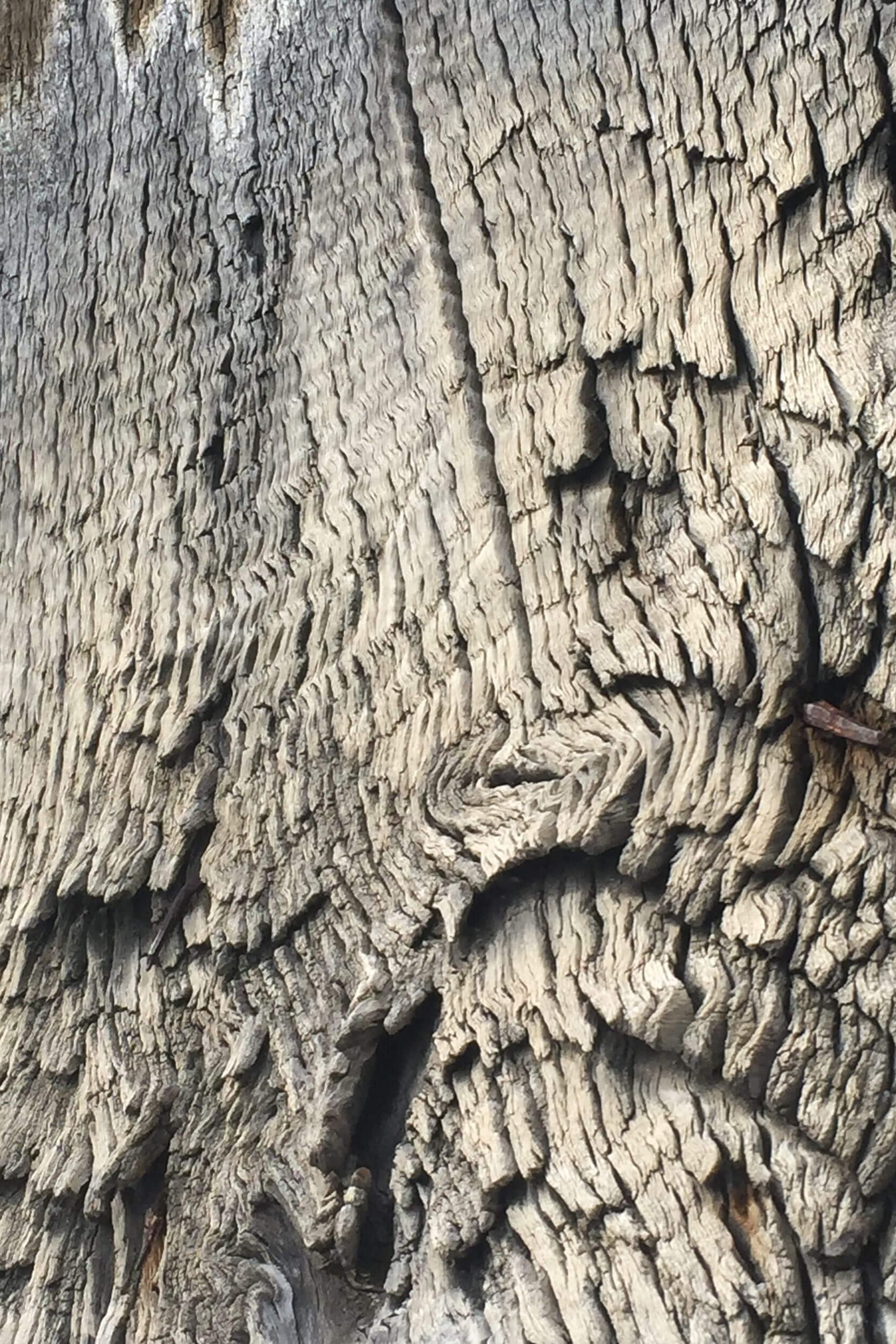 bois massif design luxe ebenisterie contemporain